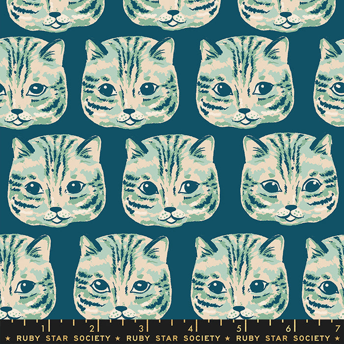 Reading Nook - Meow Meow Galaxy