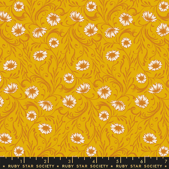 Reading Nook - Chamomile Goldenrod