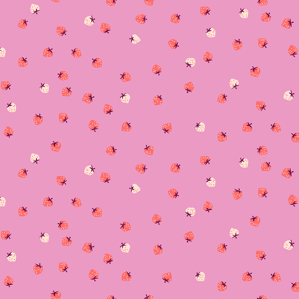 Strawberry - Mini Berry Daisy