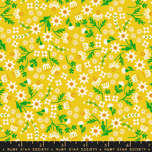 Favorite Flowers - Inflorescence Golden Hour