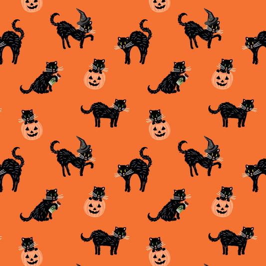 Halloween - Black Cat Orange