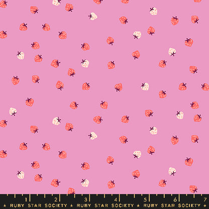 Strawberry - Mini Berry Daisy