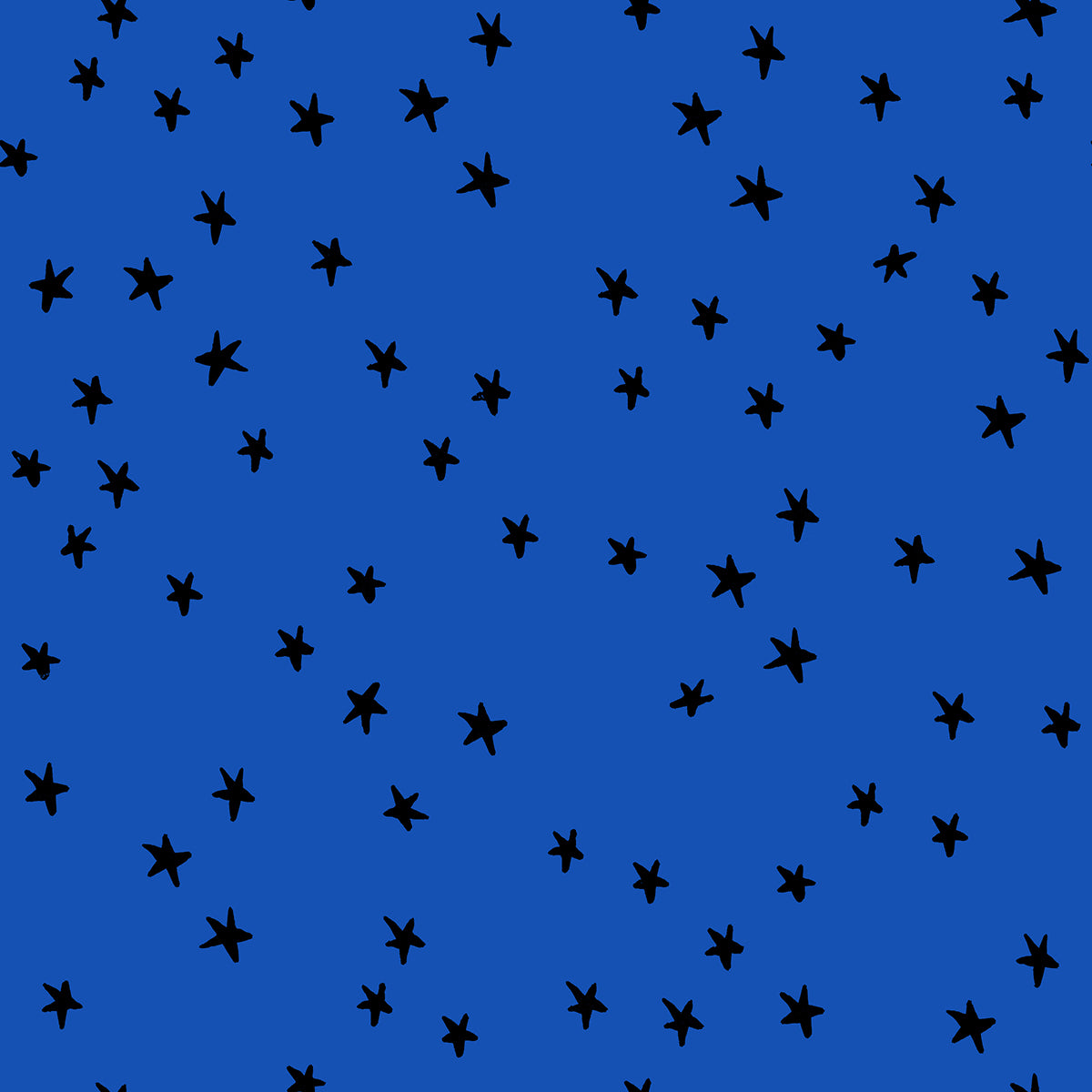 Starry - Blue Ribbon