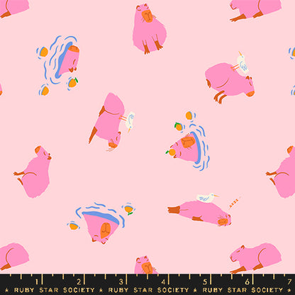 Animal Animal - Capybara Cotton Candy