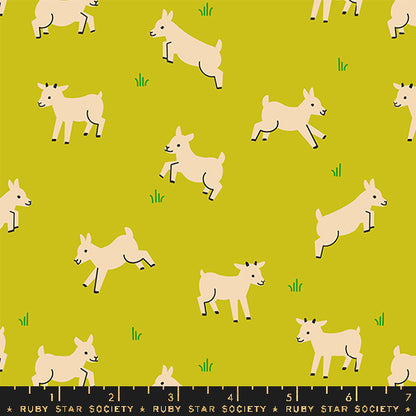 Animal Animal - Baby Goats Pistachio